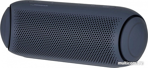 Беспроводная колонка LG XBOOM Go PL5 (черный)