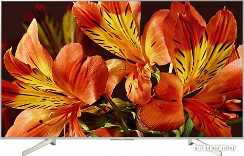 Телевизор Sony KD-49XF8577