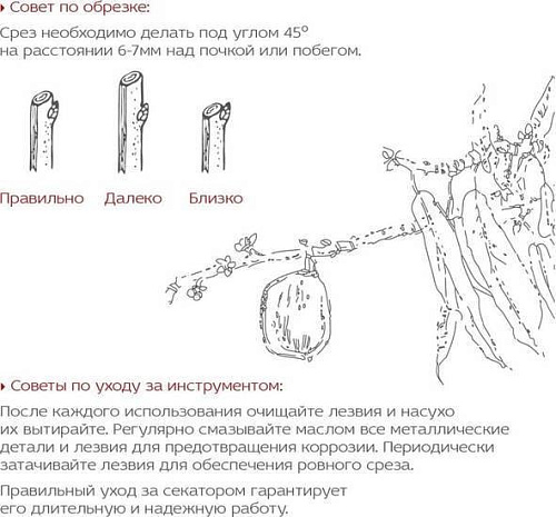 Секатор Frut Club 402217