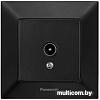 Розетка телевизионная Panasonic Arkedia Slim WNTC04512BL-BY
