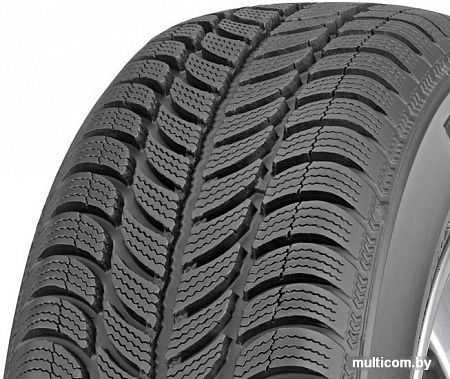 Автомобильные шины Sava Eskimo S3+ 165/65R15 81T