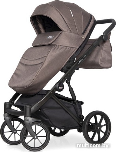 Универсальная коляска Riko Montana (3 в 1, 01)