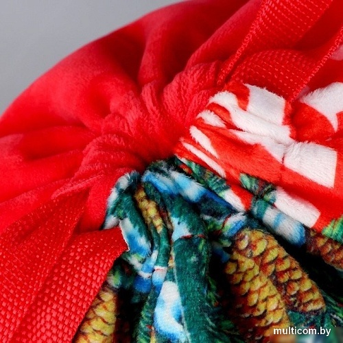 Мешок для обуви Milo Toys Посылка от Деда Мороза 9720697