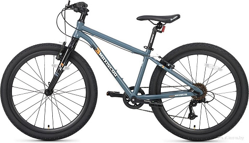 Велосипед Maxiscoo 3bike 24 M 2025 MSC-M3-2401 (серый матовый, разобранный)