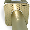 Микрофон Funtastique Nex (золотистый)