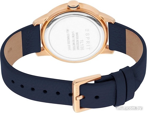 Наручные часы Esprit ES1L136L0055