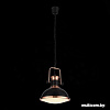 Подвесная люстра ST Luce Lanterio SL404.403.01