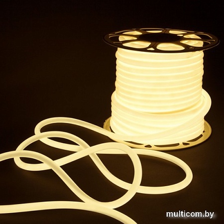 Гибкий неон Elektrostandard 220V 9.6W 144Led 2835 IP67 круглый дневной белый a052996