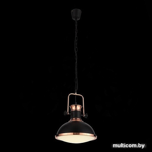 Подвесная люстра ST Luce Lanterio SL404.403.01