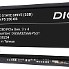 Digma Mega P5 256GB DGSM3256GP53T