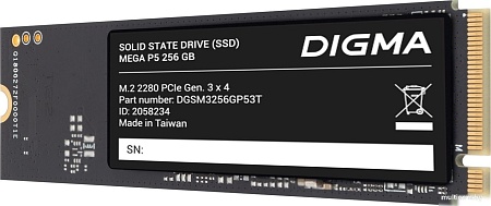 Digma Mega P5 256GB DGSM3256GP53T