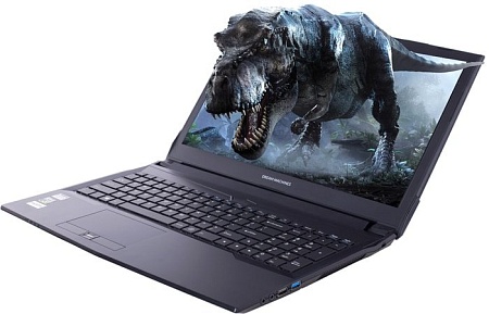 Ноутбук Dream Machines G1060-15BY33