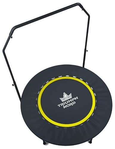 Каркасный батут Triumph Nord С держателем 80056