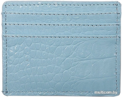 Кредитница Galanteya 36222 23с585к45 (голубой)