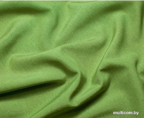 Комплект штор Pasionaria Кирстен 480x270 с подхватами (бежевый/зеленый)