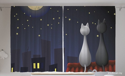 JoyArty Кошачья романтика на крыше p_1182 (145x180)