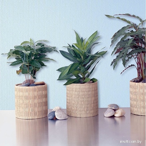 Стеклообои Wellton Optima Елка мелкая WO116 (25 м)