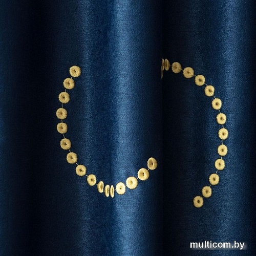 Комплект штор Pasionaria Джим 290x230 (2 шт, синий)