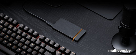 Внешний накопитель Seagate FireCuda Gaming STJP500400 500GB