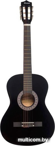 Акустическая гитара Terris TC-3801A BK