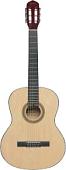 Акустическая гитара Terris TC-395A NA