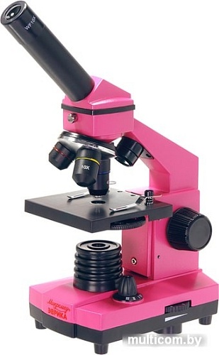 Микромед Эврика 40х-400х в кейсе (фуксия) 25449