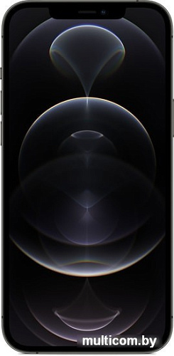 Смартфон Apple iPhone 12 Pro Max 256GB Воcстановленный by Breezy, грейд B (графитовый)