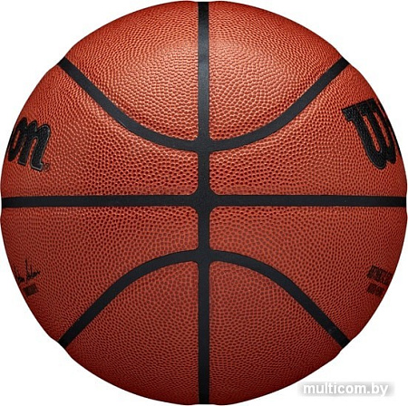 Мяч Wilson NBA Authentic Indoor/Outdoor WTB7200XB07 (7 размер)