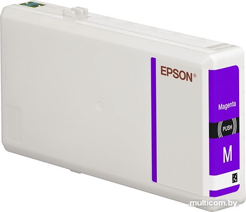 Картридж Epson C13T79134010