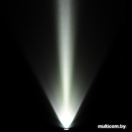 Фонарь Elektrostandard Gilmor FLD01-3W