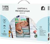 Картина по номерам Три совы Дневной сон КХ_44100