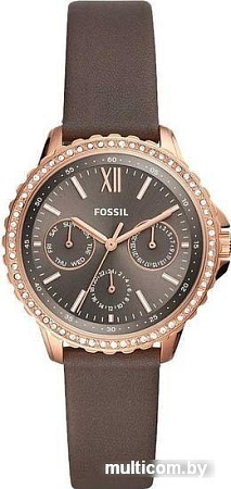 Наручные часы Fossil ES4889