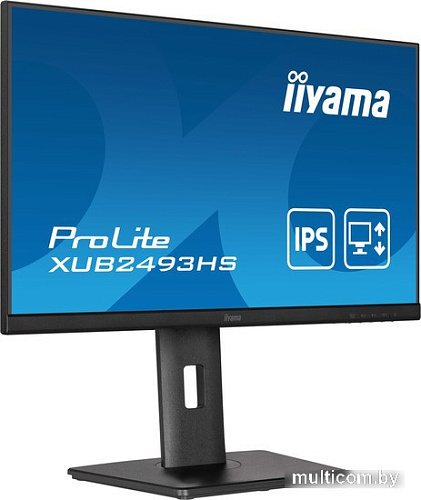 Монитор Iiyama ProLite XUB2493HS-B5