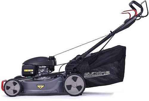 Газонокосилка Evoline LMG 53 CSH COMMERCIAL