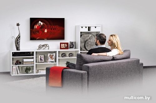 Кронштейн Hama 00108771