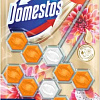 Средство для унитаза Domestos Power 5 Экзотический букет Дуо 2x50 г