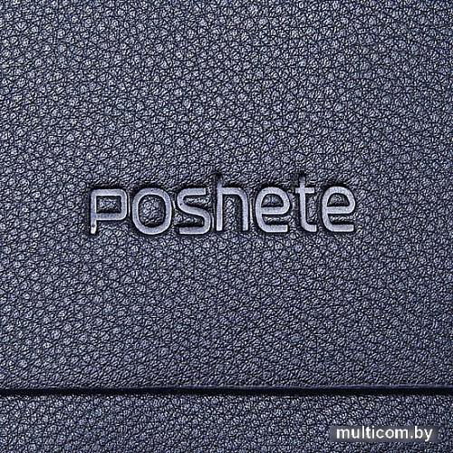 Мужская сумка Poshete 250-5189-3-BLK (черный)