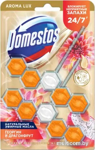 Средство для унитаза Domestos Power 5 Экзотический букет Дуо 2x50 г