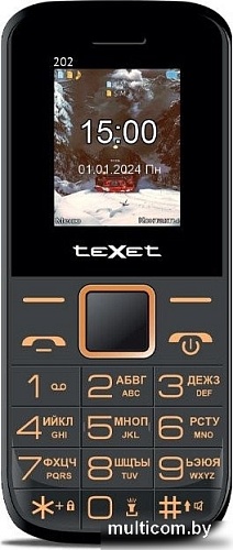 Кнопочный телефон TeXet TM-202 (черный)