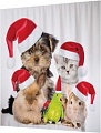 JoyArty Новогодние питомцы p_20310 (145x180)