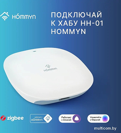 Датчик Hommyn MS-21-Z