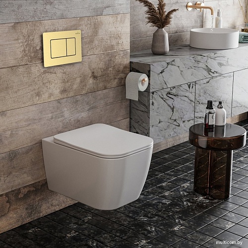 Панель смыва Roxen Steel 420280GB