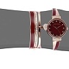 Наручные часы Anne Klein 2716RBST