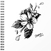 Общая тетрадь Erich Krause Blossom Black and White 80 л клетка 54118