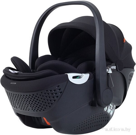 Детское автокресло Rant Aster Zero AY378 (черный)