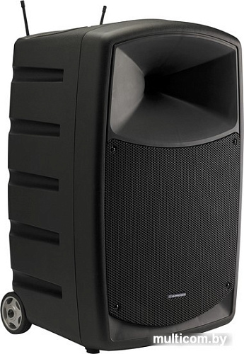 Активная акустика Audiophony CR12A-COMBO