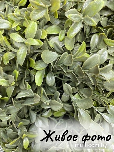 Искусственное растение Merry Bear Home Decor Самшит спиралевидный KM5312