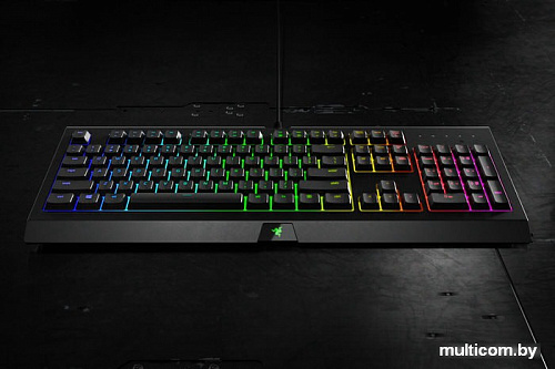 Клавиатура Razer Cynosa Chroma