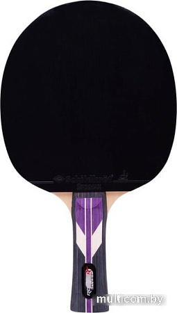 Ракетка для настольного тенниса Roxel Stellar