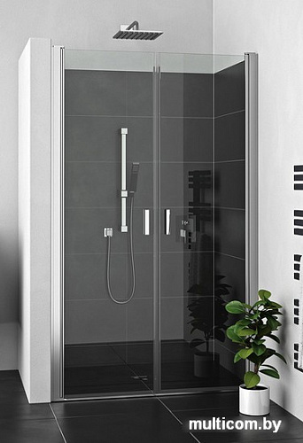 Душевая дверь Roltechnik Lega Lift Line LZCN2/100 (хром/прозрачное)
